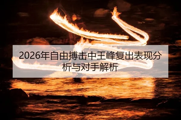 2026年自由搏击中王峰复出表现分析与对手解析