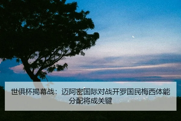 shi-ju-bei-jie-mu-zhan-mai-a-mi-guo-ji-dui-zhan-kai-luo-guo-min-mei-xi-ti-neng-fen-pei-jiang-cheng-guan-jian-2-561.jpg