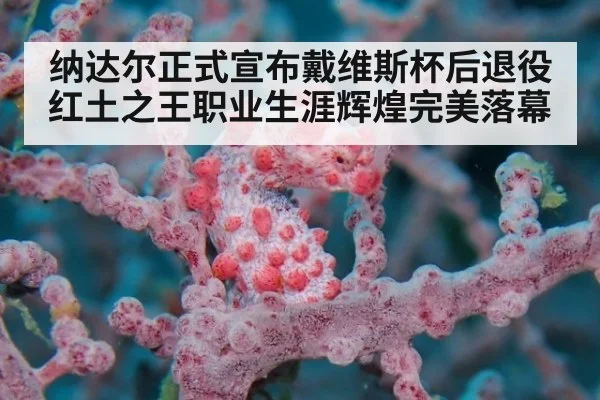 纳达尔正式宣布戴维斯杯后退役 红土之王职业生涯辉煌完美落幕