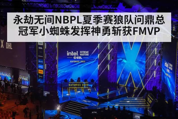 永劫无间NBPL夏季赛狼队问鼎总冠军小蜘蛛发挥神勇斩获FMVP